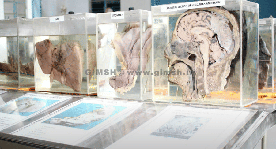 Gouri Devi Institute of Medical Science and Hospital Durgapur infrastructure photo 2